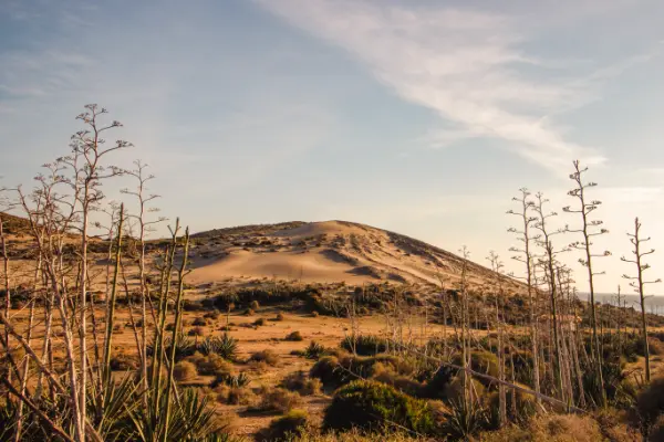 fotos de Cabo de Gata Alquiler Vacacional (11)